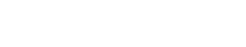 Immigration Visa Team
